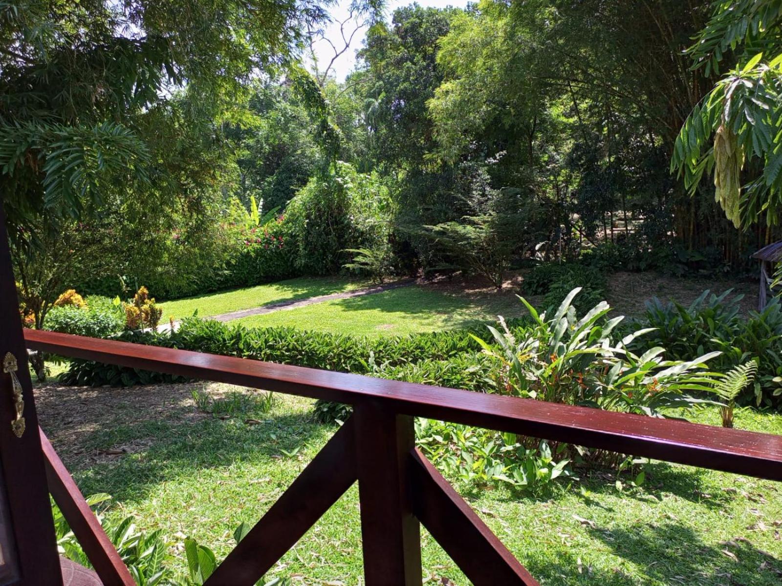 Terra Luna Lodge Тена Екстериор снимка