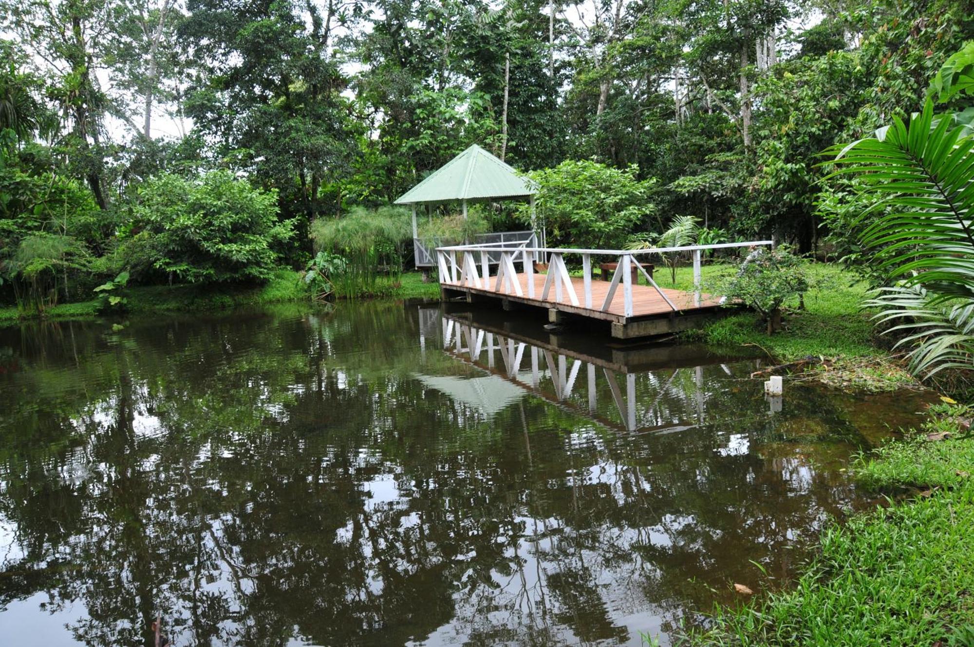Terra Luna Lodge Тена Екстериор снимка
